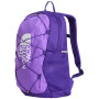 Colore: viola/grafite