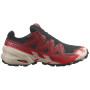 Scarpe da corsa da uomo Salomon Speedcross 6 Gore-Tex