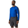 Maglietta funzionale da uomo Helly Hansen HH Lifa Stripe Crew