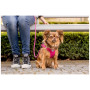 Guinzaglio per cane Curli Stretch Comfort Leash