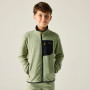 Felpa da bambino Regatta Junior Frankie F/Z Light Sage