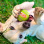 Giocattolo per cane Nerf Dog Squeak Tennis Ball 3 pcs