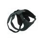 Pettorina per cane Ruffwear Web Master™ Harness