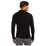Maglietta funzionale da uomo Icebreaker M 175 Everyday LS Half Zip