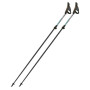 Bastoncini da nordic walking Fizan Tekno Race Impulse grigio Grey