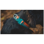 Collare per cane Ruffwear Front Range™ Collar
