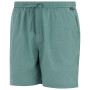Pantaloncini da uomo Regatta Hadlin Shorts