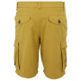 Pantaloncini da uomo Regatta Shorebay Shorts II