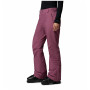 Pantaloni da sci da donna Columbia Shafer Canyon™ II Insulated Pant