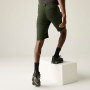 Pantaloncini da uomo Regatta Highton Shorts Long II
