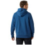 Felpa da uomo Helly Hansen HH Logo Hoodie