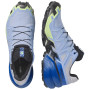 Scarpe da corsa da uomo Salomon Speedcross 6 GTX Icon