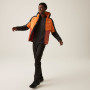 Giacca da uomo Regatta Hooded Dalent