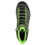 Scarpe da uomo Salewa Ms Alp Trainer 2 Mid Gtx