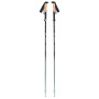 Bastoncini da trekking Black Diamond Pursuit FLZ Trekking Poles