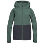 Giacca softshell per bambini Hannah Wat Jr nero/verde dark forest/anthracite