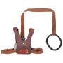 Redinelle di sicurezza LittleLife Toddler Reins Dinosaur