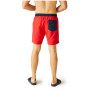 Costume da bagno da uomo Regatta Bentham swim short