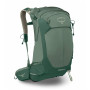 Zaino da trekking Osprey Stratos 24 verde pine leaf