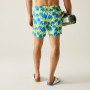 Costume da bagno da uomo Regatta Loras Swim Short