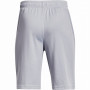 Pantaloncini per bambini Under Armour Prototype 2.0 Logo Shorts-GRY