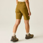 Pantaloncini da donna Dare 2b Womens Torrek Short