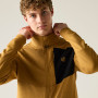 Felpa da uomo Dare 2b Venture Stretch Midlayer