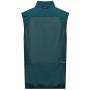 Gilet da uomo Salewa Pedroc Dst Light Vest M