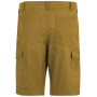 Pantaloncini da uomo Regatta Ruwan Shorts