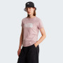 Maglietta da donna The North Face W Evolution Half Dome Slim Short Sleeve
