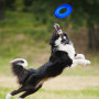 Giocattolo per cane Nerf Dog Translucent TPR Tire Flyer 25 cm