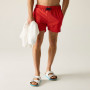 Costume da bagno da uomo Regatta Mawson Swim Shorts III