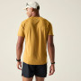 Maglietta da uomo Dare 2b Tech II Tee