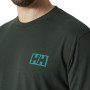 Maglietta da uomo Helly Hansen Skog Graphic T-Shirt