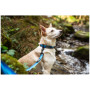 Collare per cane Mountain Paws Waterproof Dog Collar