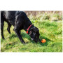 Giocattolo per cane Mountain Paws Dog Wave Treat Ball Dispenser