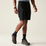 Pantaloncini da uomo Dare 2b Tuned In Pro II Short