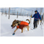 Cappottini per cani Ruffwear Powder Hound Jacket