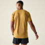 Maglietta da uomo Dare 2b Persist Tee