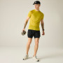 Maglietta da uomo Dare 2b Accelerate Tee