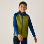 Giacca da bambino Regatta Boys Trekktain 3-in-1 II AvBlu/GldCyp