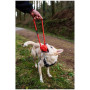 Giocattolo per cane Mountain Paws Ball Chew Rope Dog Toy