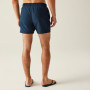 Costume da bagno da uomo Regatta Mawson Swim Shorts III