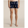 Boxer sportivi da uomo Icebreaker Men M 150 Anatomica Boxers BearTourAOP