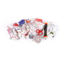 Cassetta di pronto soccorso Lifesystems Mountain Leader Pro First Aid