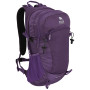 Colore: viola