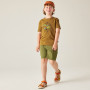 Maglietta da bambino Dare 2b Trailbazer III Tee Dark Cumin