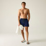 Costume da bagno da uomo Regatta Mawson Swim Shorts III