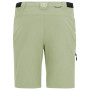 Pantaloni da uomo Regatta Anti-Insect Travel Light Z/O Trousers