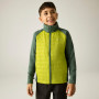 Giacca da bambino Regatta Boys Trekktain 3-in-1 II DrkForGlac